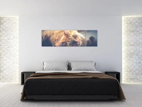 Obraz kota na podłodze (170x50 cm)