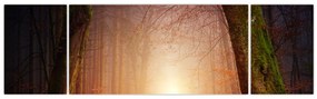 Obraz jesiennego lasu we mgle (170x50 cm)