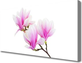 Obraz canvas Rozkwitająca Flora Botaniczna