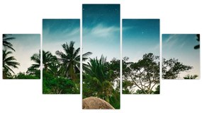 Obraz - palmy (125x70 cm)