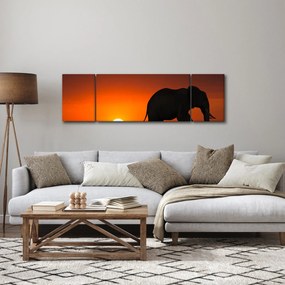 Obraz słonia o zachodzie słońca (170x50 cm)