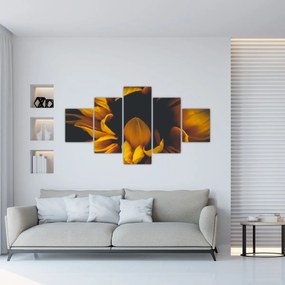 Obraz - Słoneczniki na czarnym tle (125x70 cm)