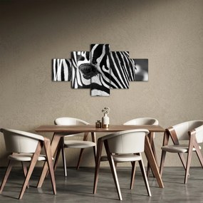 Obraz zebry (125x70 cm)