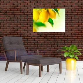 Obraz cytryn (70x50 cm)