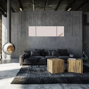 Obraz - Suszona trawa (170x50 cm)