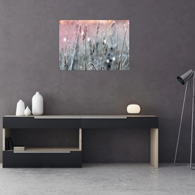Obraz - Chwila (70x50 cm)