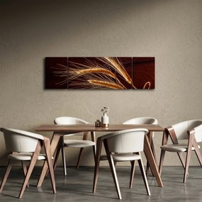 Obraz - Fragment kłosa żyta (170x50 cm)