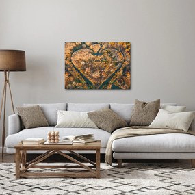 Obraz - Rzeka w kształcie serca (70x50 cm)