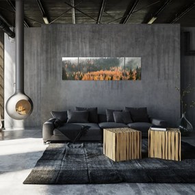 Obraz - Jesienny las (170x50 cm)