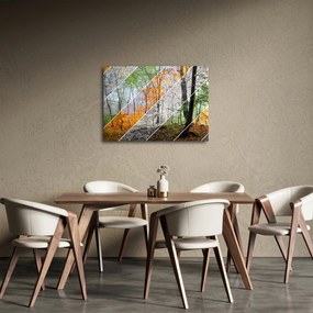 Obraz - Zmieniające się pory roku (70x50 cm)