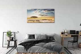 Zdjęcie na płótnie Zebry i Drzewo na Tle Chmur