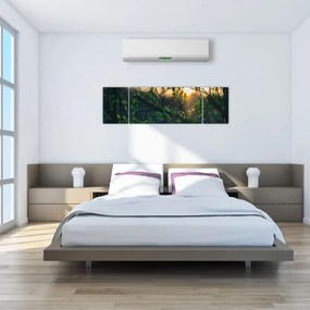 Obraz słońca przeświecającego przez gałęzie drzew (170x50 cm)