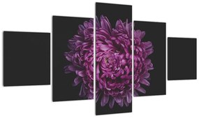 Obraz fioletowego kwiatu (125x70 cm)