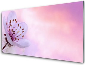 Panel Kuchenny Rozkwitający Kwiat Ogrodowy