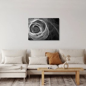 Obraz na szkle - Abstrakcyjna róża czarno-biała (70x50 cm)