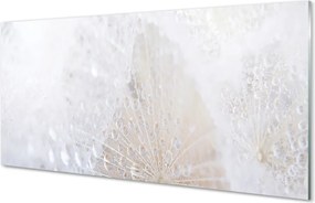 Szklany Panel Dmuchawiec i Rosa w Abstrakcji