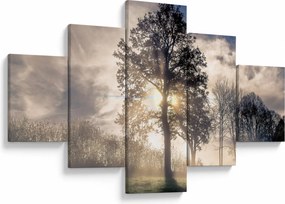 Obraz drzewa we mgle (125x70 cm)