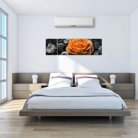 Obraz kwiatu (170x50 cm)
