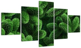 Obraz - Gałązki drzew iglastych (125x70 cm)