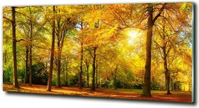 Foto obraz szkło hartowane Las jesienią