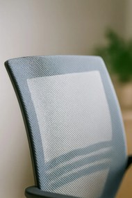 Pewny siebie Krzeso Kole