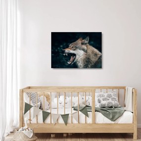Obraz na szkle wilka (70x50 cm)