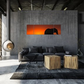 Obraz słonia o zachodzie słońca (170x50 cm)
