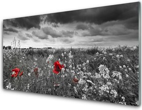 Panel Szklany Sielska Polana Kwiatowa