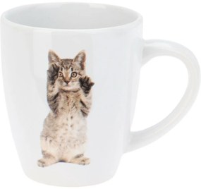 Zestaw ceramicznych kubków Cats 3 szt., 220 ml