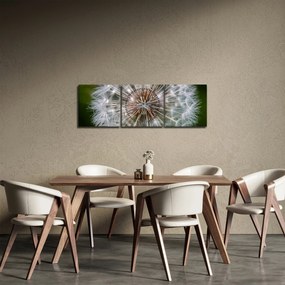 Obraz dmuchawca (z zegarem) (90x30 cm)