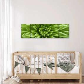 Obraz - Obraz rośliny w trybie makro (170x50 cm)