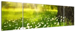 Obraz polany i kwiatów (170x50 cm)