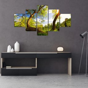 Obraz wiosennej łąki (125x70 cm)