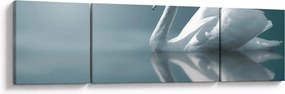 Obraz - Biały łabędź (170x50 cm)