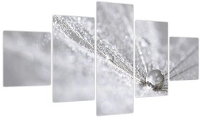 Obraz - Kropla wody (125x70 cm)