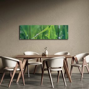 Obraz kropli rosy (170x50 cm)