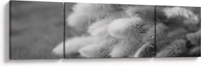 Obraz - trawa z króliczym ogonkiem na stole (170x50 cm)