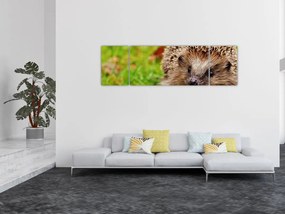 Obraz jeża (170x50 cm)