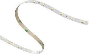 Taśma LED 12W/MT 24V 1699 lm/m 6000K - cewka 5 metrów IP20