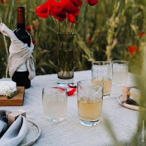 Szklanka La Rochère Libellules, 350 ml