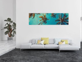 Obraz - Wysokie palmy (170x50 cm)
