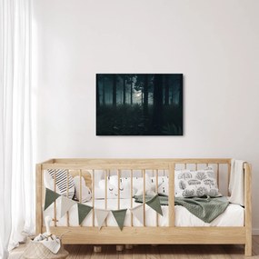 Obraz - Paproć w świetle księżyca (70x50 cm)