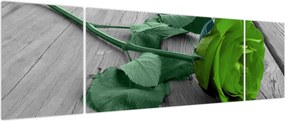 Obraz - Zielona róża (170x50 cm)