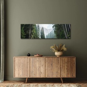 Obraz leśnego jeziora (170x50 cm)