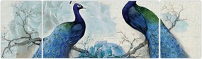 Obraz - Pawie tekstury (170x50 cm)