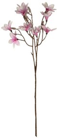 Gałązka magnolii fioletowa, wysokość 70 cm. 9kwiatów i pąków