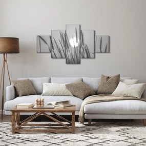 Obraz - Łąka o zachodzie słońca (125x70 cm)