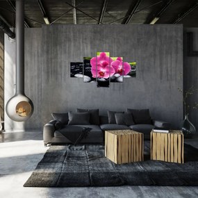 Obraz - Różowe orchidee z liściem palmy (125x70 cm)