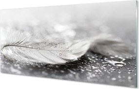 Szklany Panel Delikatne Krople na Piórku