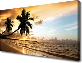 Fotoobraz na płótnie Tropikalne Wybrzeże z Palmą